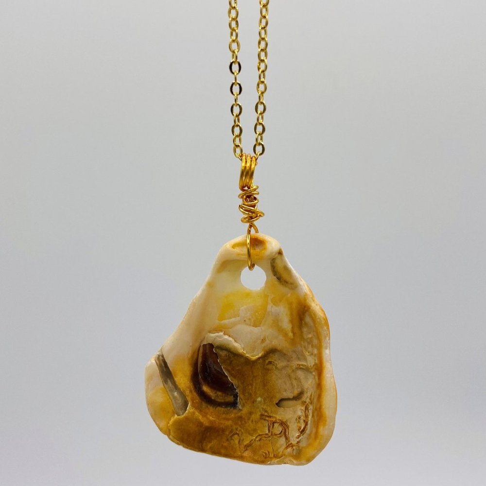 Shell Pendant on 18" Gold Chain Necklace; G18-28
